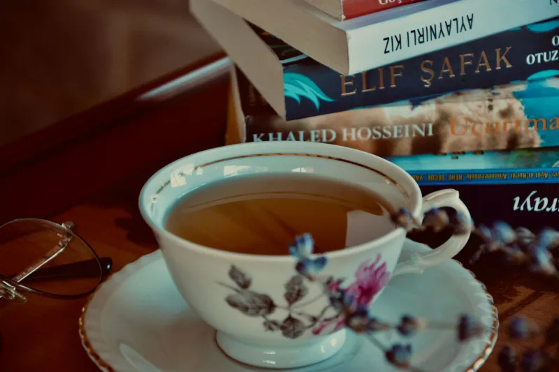 From Dystopian Baghdad to BookTok: How Arab Sci-Fi Quietly Invaded American Reading Lists